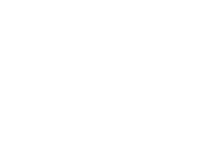 Stv logo