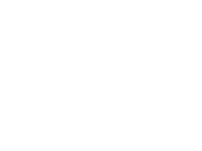 logo of A1 channel