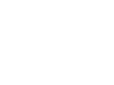 logo of Orion
